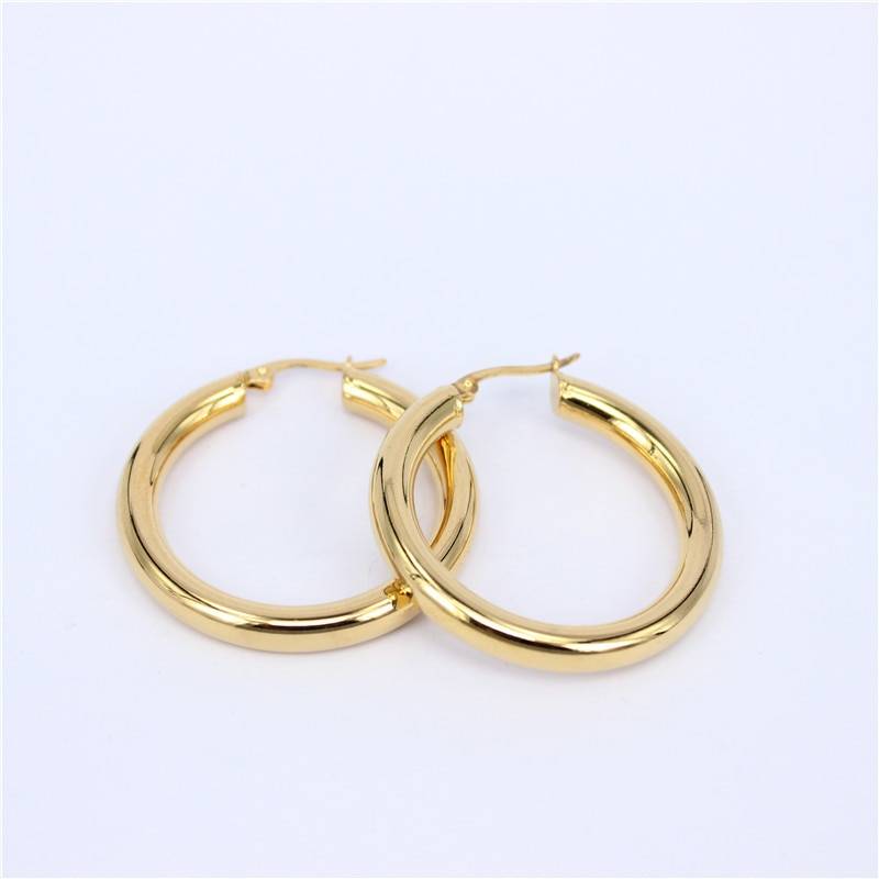 Stainless Steel Hoop Earrings Women's Earrings Women's Jewelry
