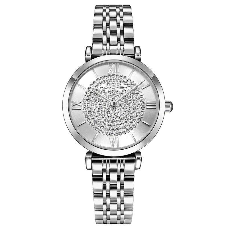 Women's Stainless Steel Quartz Dress Watch Women's Watches