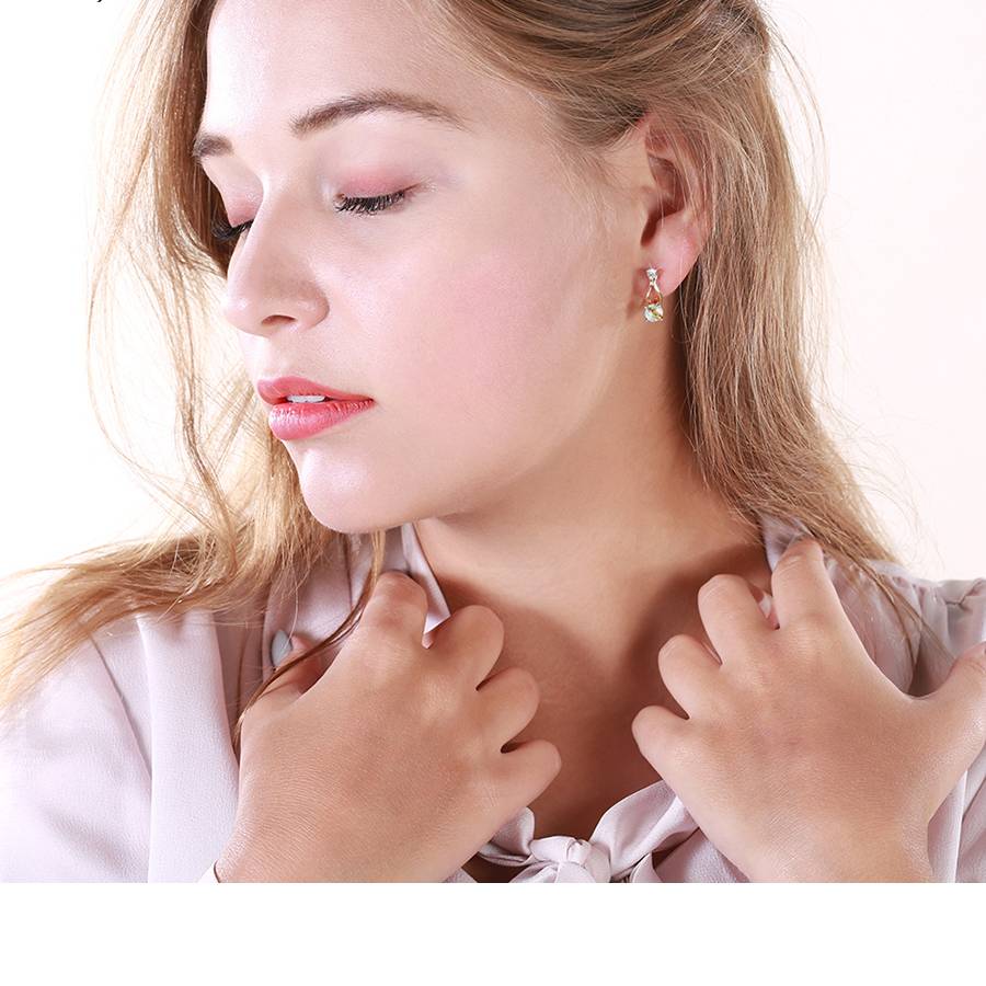 Gold Plated Cubic Zirconia Earrings Women's Earrings