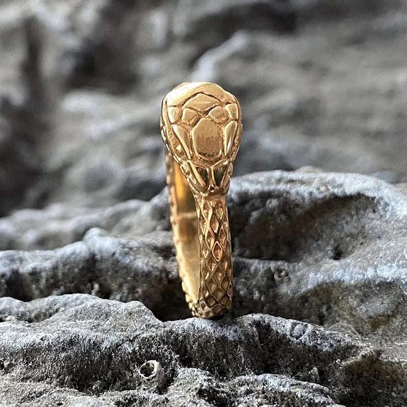 Ouroboros Snake Retro Stainless Steel Ring