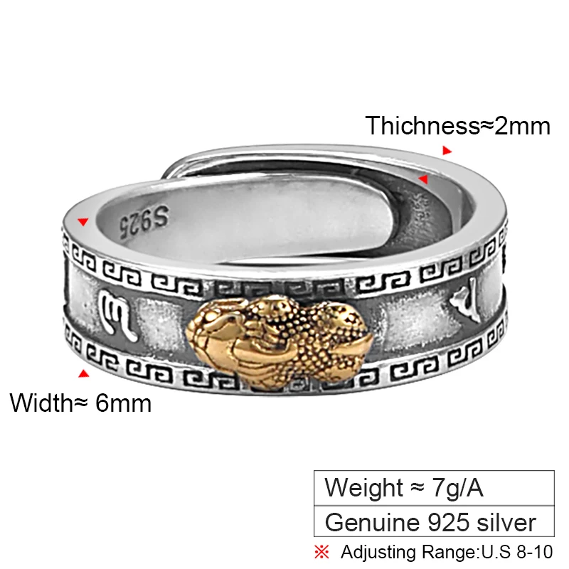 Trendy S925 Silver Pixiu Ring