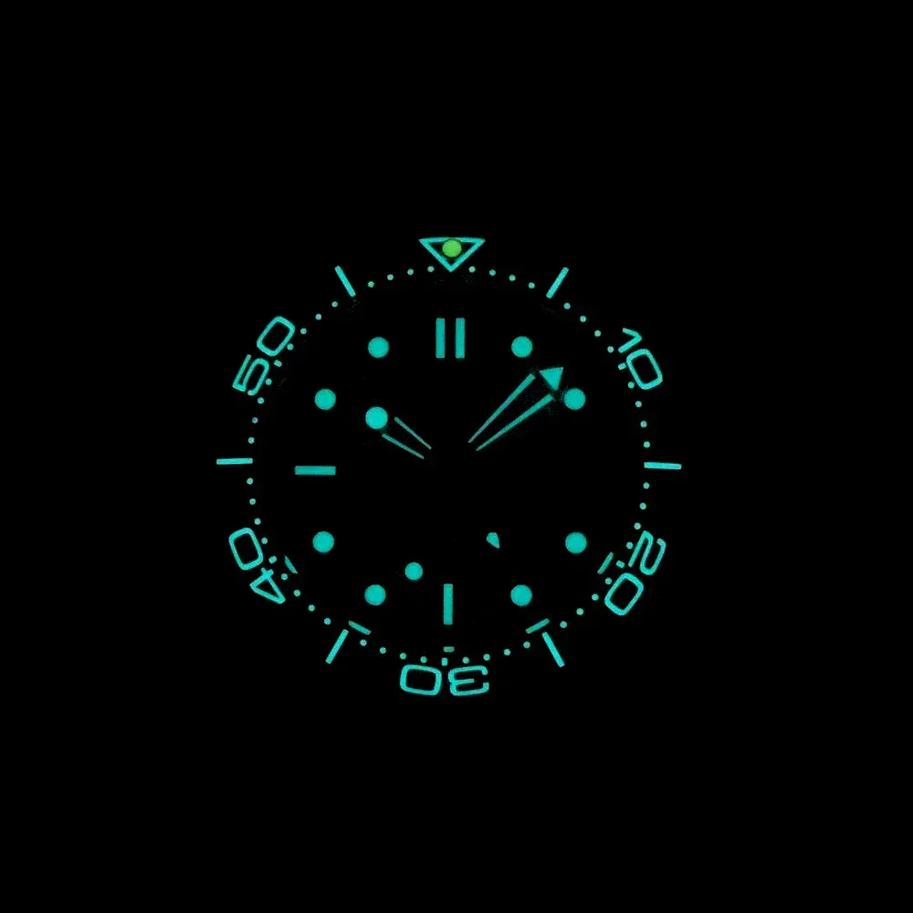 PHYLIDA GMT 41mm Men's Watch NH34A