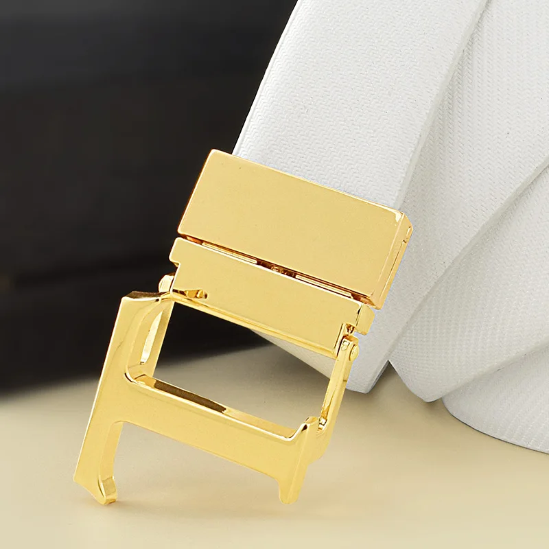 Leather Belt with Gold and Silver T Buckle