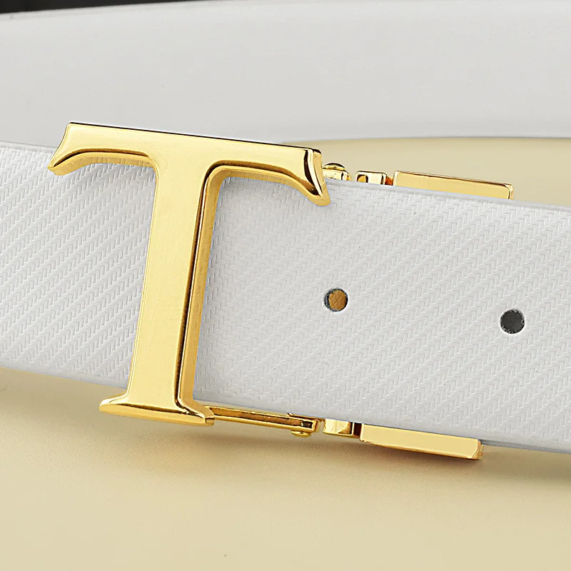 Leather Belt with Gold and Silver T Buckle