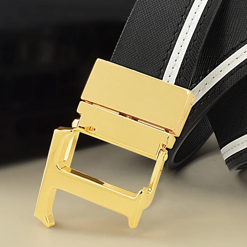 Leather Belt with Gold and Silver T Buckle