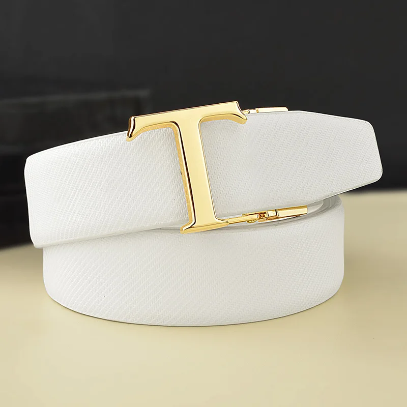Leather Belt with Gold and Silver T Buckle