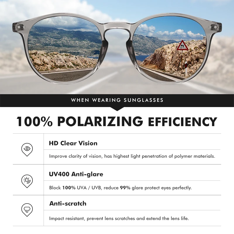 LM 2025 Classic Round Polarized Sunglasses