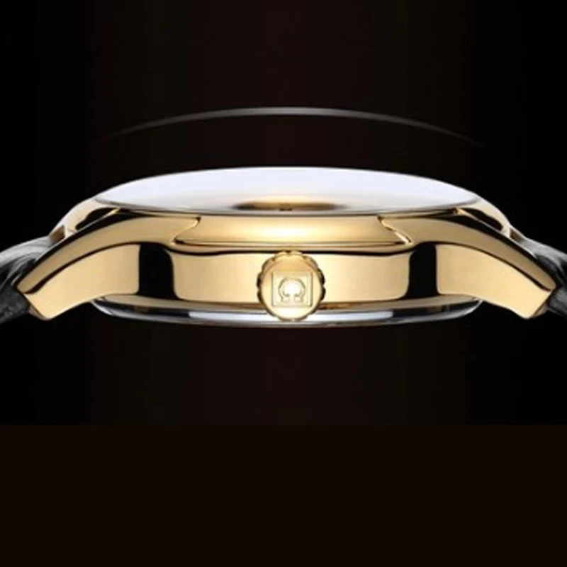 Montre CARNIVAL Mechanical Business Watches for Men Brands Luxury Sapphire Automatic Wristwatches Men's Waterproof Reloj Hombre