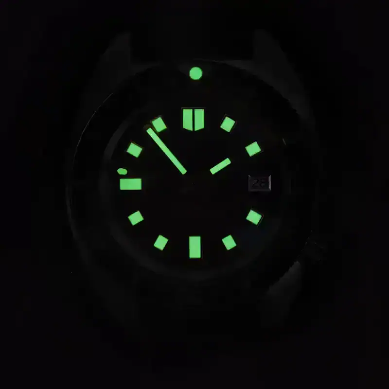 RDUNAE R2 Turtle NH35 Fashion Men's Mechanical Watch Top Sapphire Glass Sports Waterproof Stainless Steel 10Bar Luminous C3