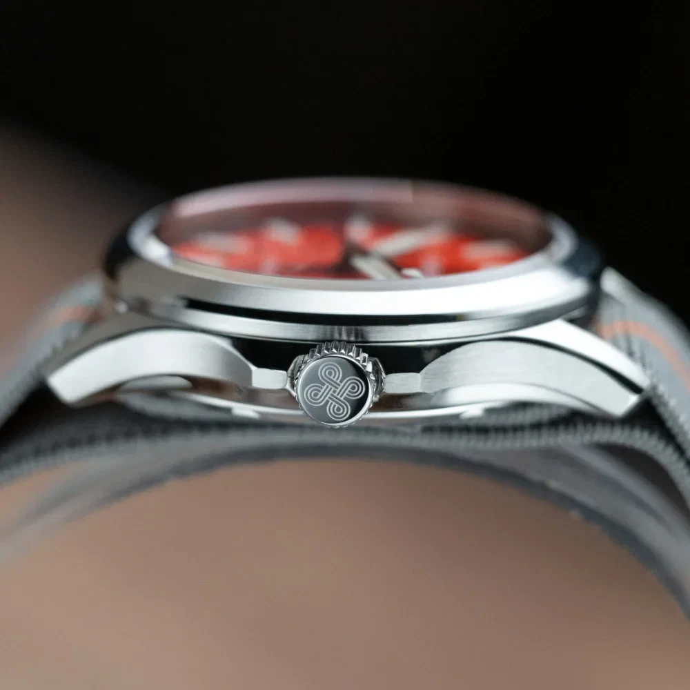High-quality Proxima 2025 dive watch with luminous dial and 39mm case.