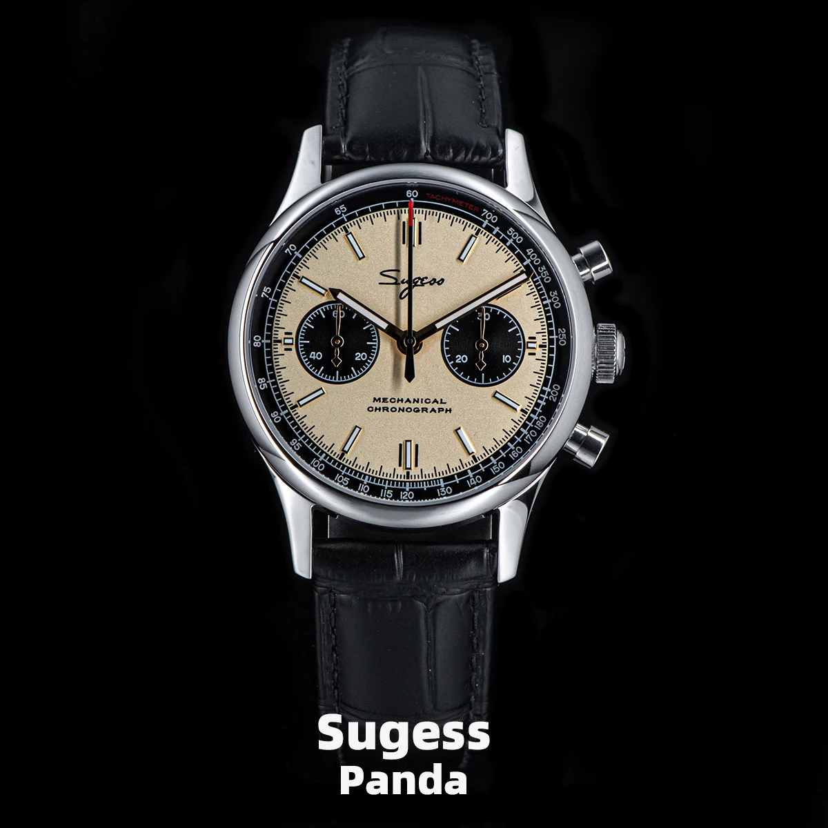 Luxury vintage Sugeess Panda chronograph watch with black leather strap and beige dial.